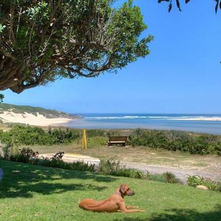 Milkwood Manor B & B Kenton on Sea Exterior foto